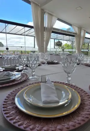 Lugar posto com sousplat rosa, louça e taça de cristal